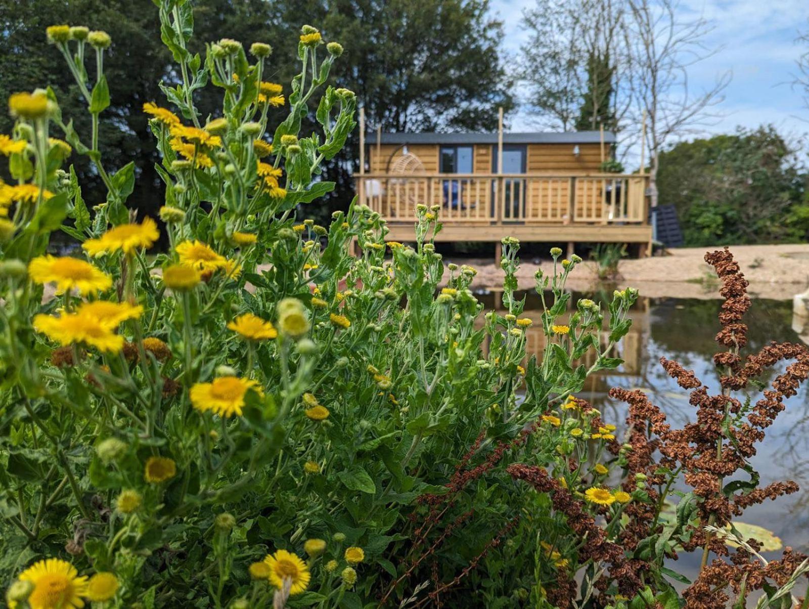 Rusty Duck Retreat Shepherds Hut Shedfield エクステリア 写真